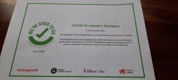 Good to Go Certificate